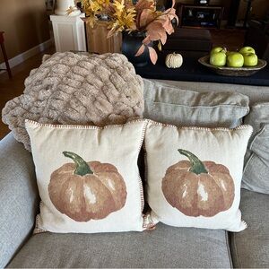 Fall Decor Pumpkin Pillows Set of 2